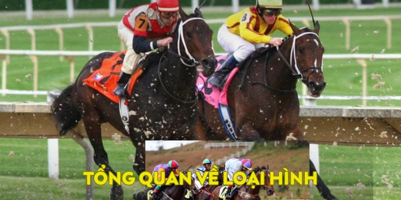 Tổng quan về loại hình